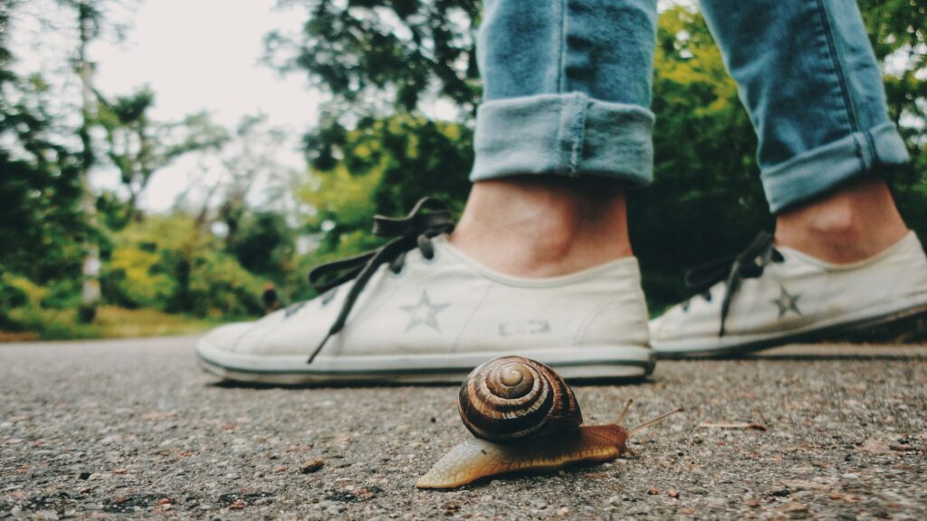 かたつむり スニーカーの足元